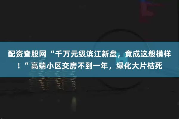 配资查股网 “千万元级滨江新盘，竟成这般模样！”高端小区交房不到一年，绿化大片枯死